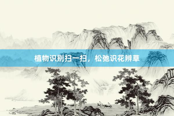 植物识别扫一扫，松弛识花辨草