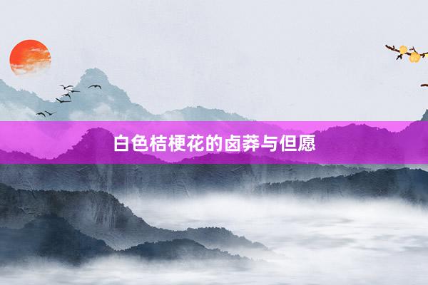 白色桔梗花的卤莽与但愿