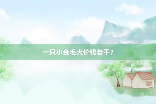 一只小金毛犬价钱若干？