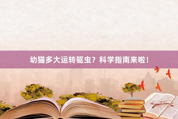 幼猫多大运转驱虫？科学指南来啦！